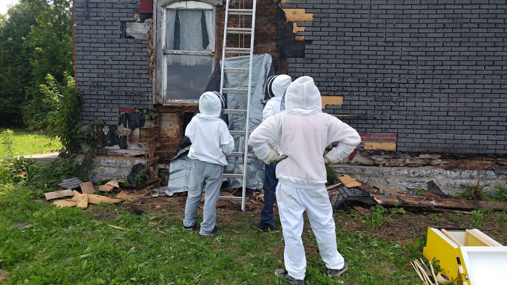 ApiHex Beekeeping Supplies | 500 Rue Léger, Rivière-Beaudette, QC J0P 1R0, Canada | Phone: (855) 666-3233