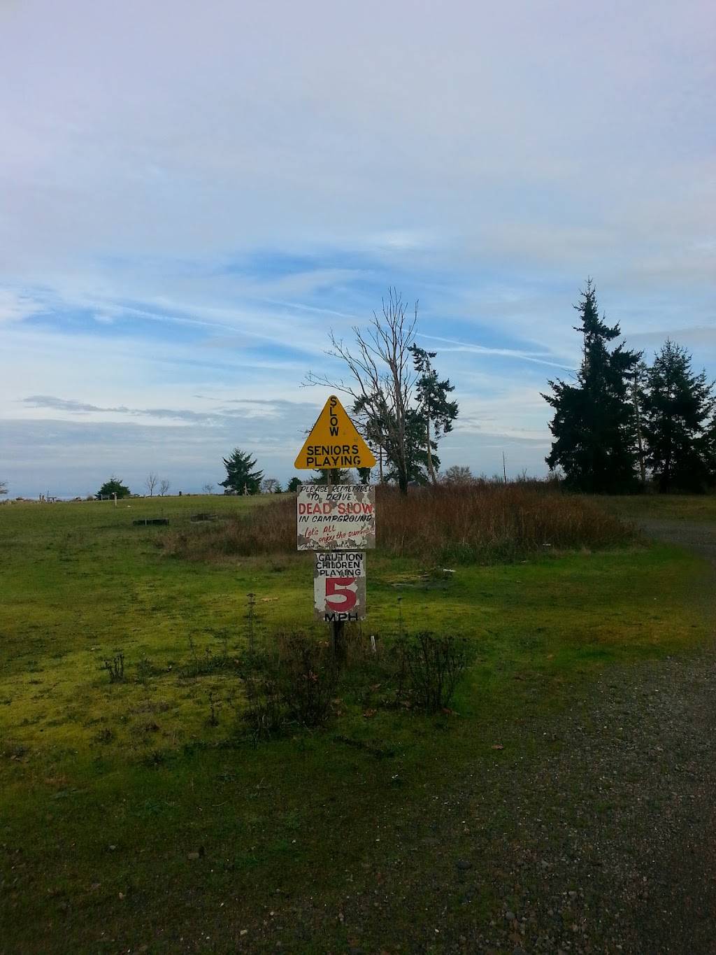 Josh Muise Designs | 19 - 5251 Island Highway, 5251 Island Hwy W, Qualicum Beach, BC V9K 2C1, Canada | Phone: (902) 482-2809