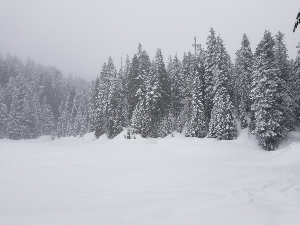 Snowshoe Centre | Mt Seymour Rd, North Vancouver, BC V7G 1L3, Canada | Phone: (604) 986-2261