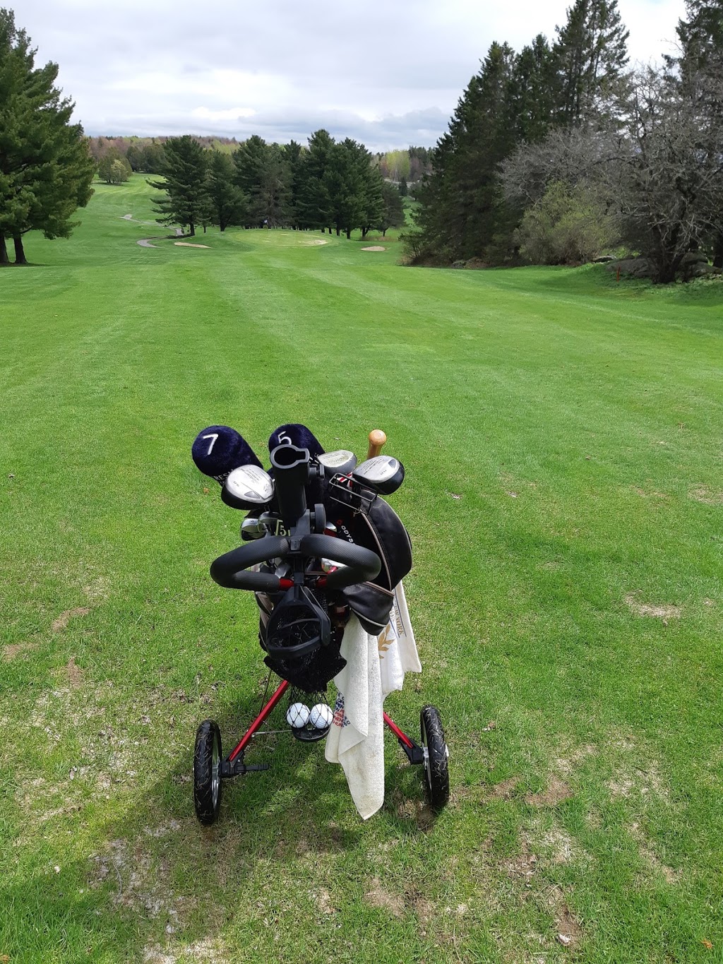 Waterloo Golf Club | 360 Chemin Leclerc, Shefford, QC J2M 1E9, Canada | Phone: (450) 539-1055