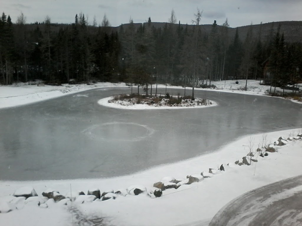 DOMAINE SHERWOOD | 278-, 302 Chemin Wexford, Shannon, QC G3N 1C1, Canada