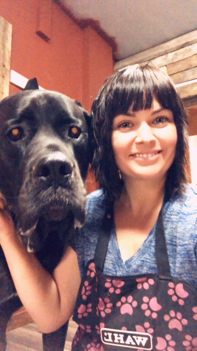 The Golden Bone | 4740 50 Ave, Calmar, AB T0C 0V0, Canada | Phone: (780) 903-2880