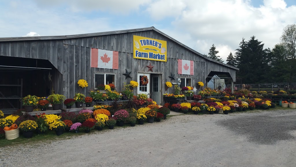 Turners Farm Market | 68 Rd, Ingersoll, ON N5C 3J5, Canada | Phone: (519) 425-0513