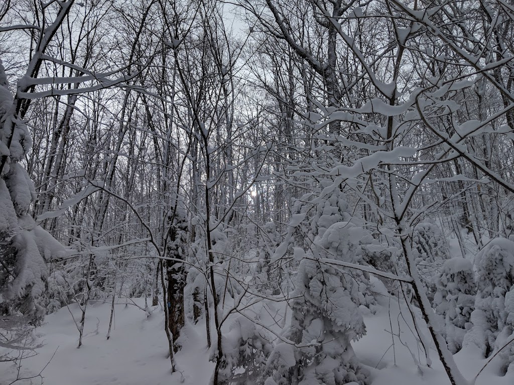 Départ Sentier Pédestre | 750-402 Chemin Schweizer, Sutton, QC J0E 2K0, Canada