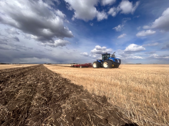 Bezco Farming Inc. | 201040 Hwy 512, Lethbridge County, AB T1M 1M9, Canada | Phone: (403) 634-4670