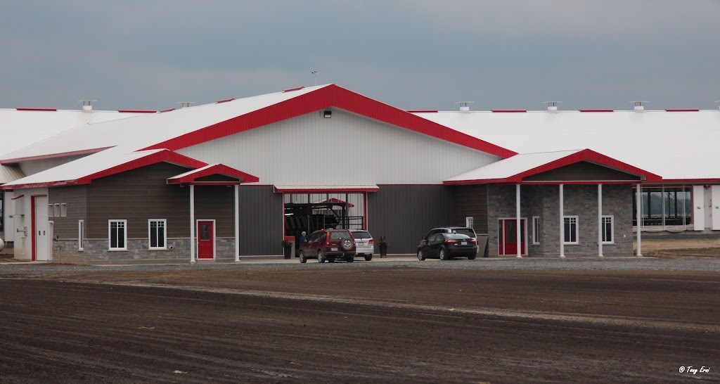 Bergeroy Holstein Inc | 3e Rang O, Saint-Samuel-de-Horton, QC G0Z 1G0, Canada | Phone: (819) 353-2535