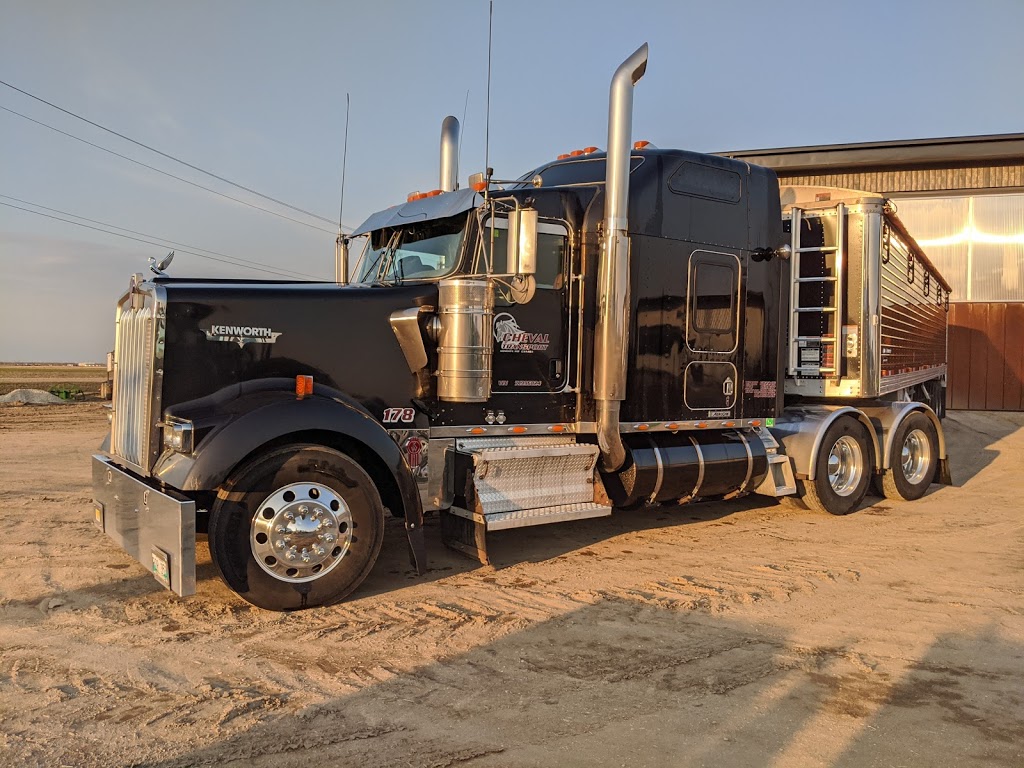 Cheval Transport Ltd | 235 Cochlan Dr, Morden, MB R6M 1G5, Canada | Phone: (204) 822-6798