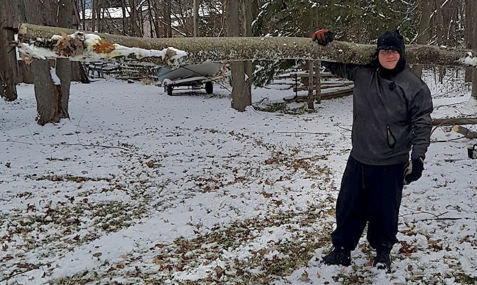 Tobys Tree Service | 81 McVeigh Dr, Barrie, ON L4N 7E4, Canada | Phone: (705) 791-6052