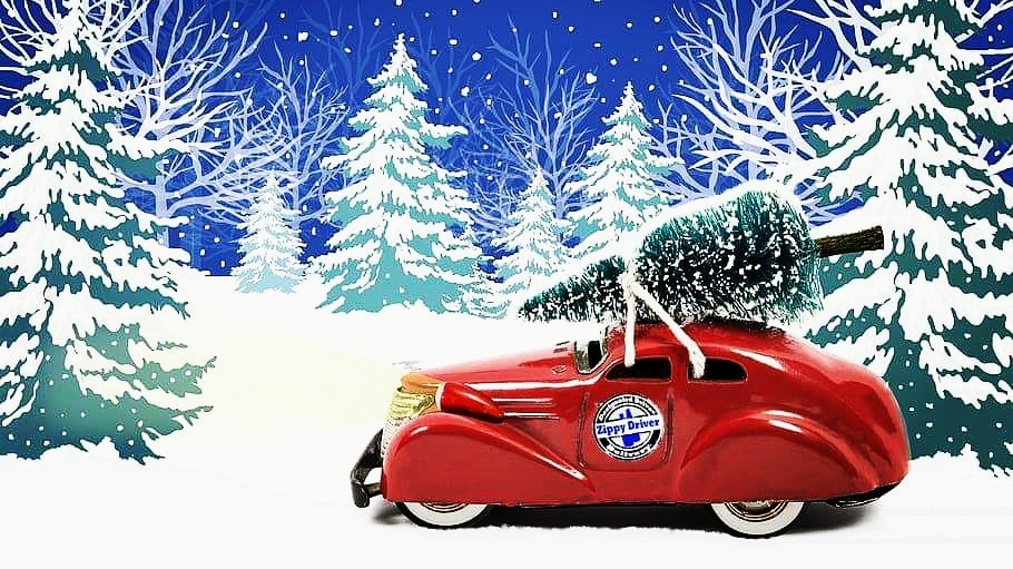 Zippy Driver Designated Driver and Delivery | Shagbark lane, Stevensville, ON L0S 1S0, Canada | Phone: (905) 650-3348