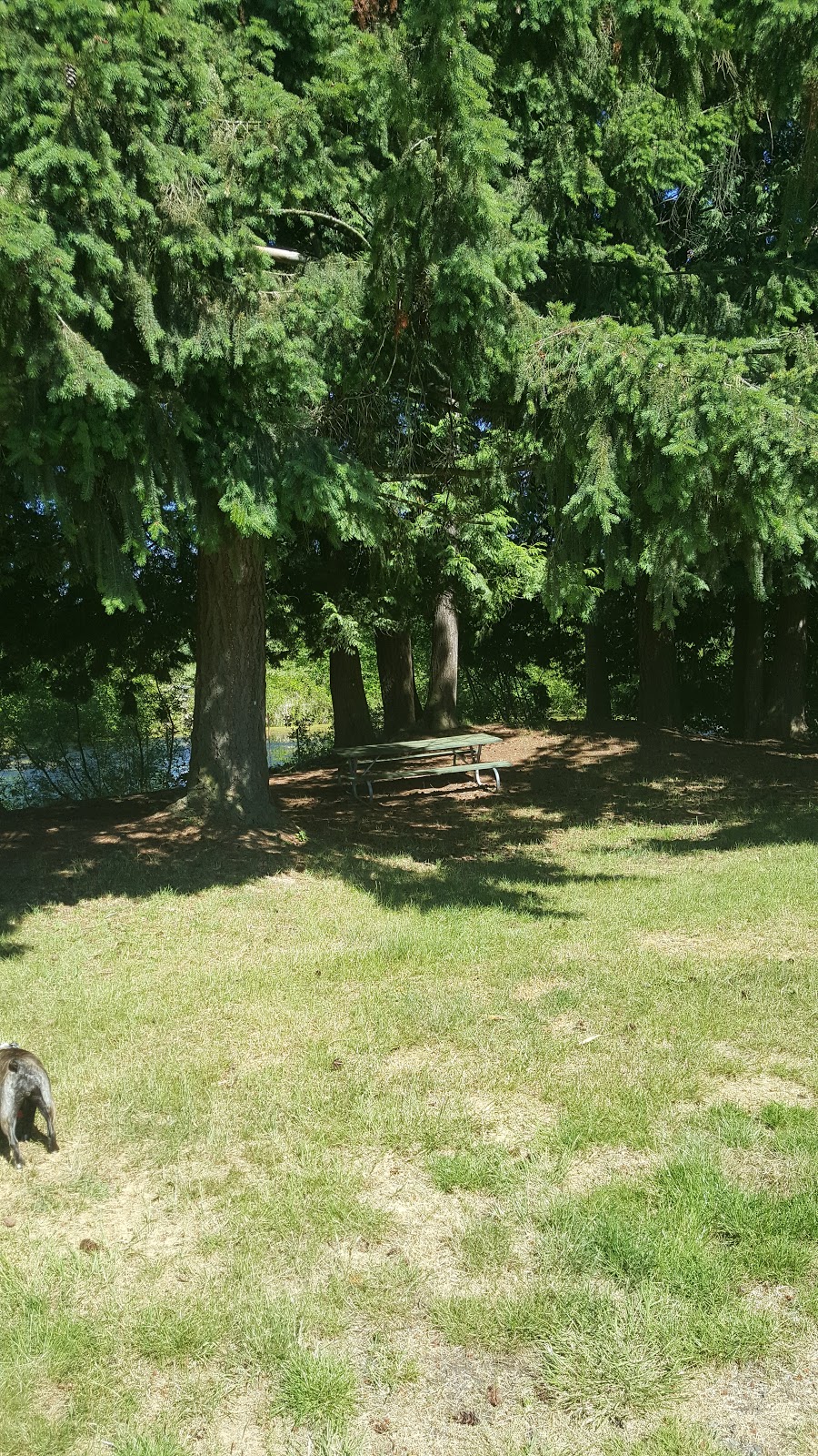 Skallman Park | 1190 Yew Ave, Blaine, WA 98230, USA