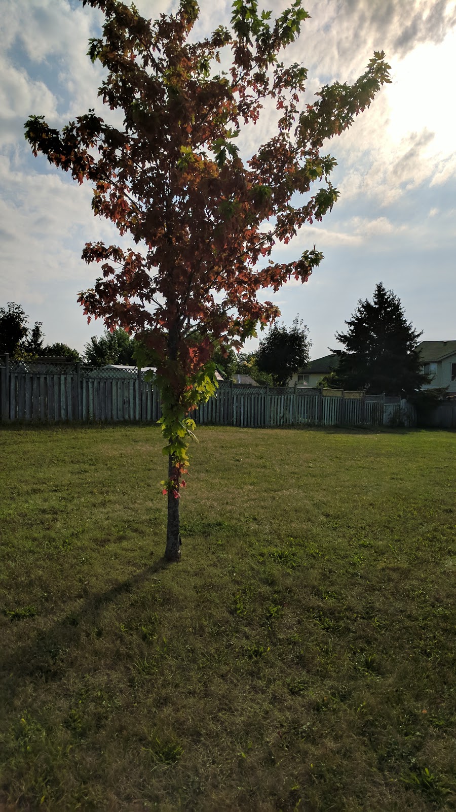 Rittenhouse Park | Country Hills West, Kitchener, ON N2E, Canada