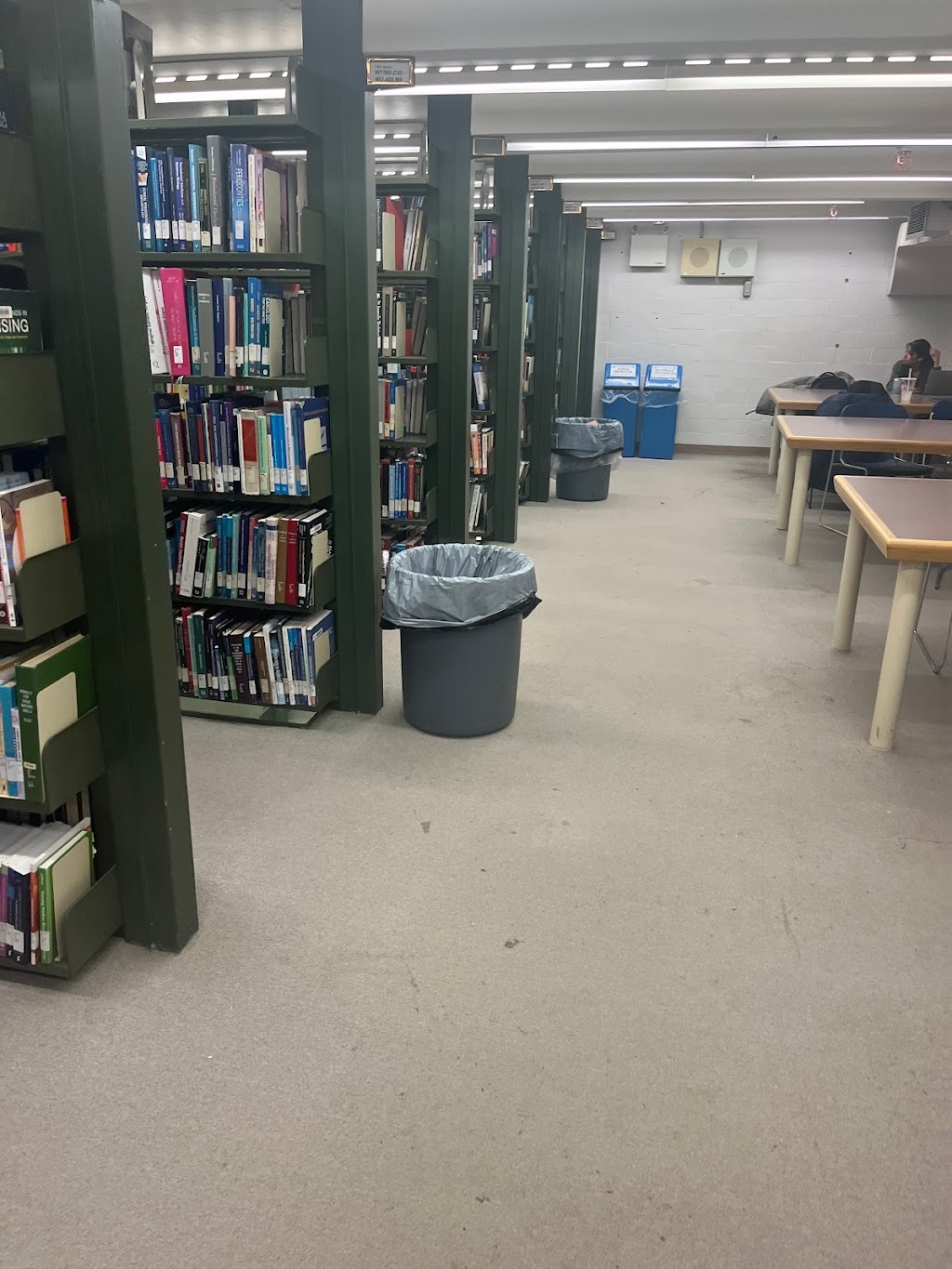Allyn & Betty Taylor Library | 1151 Richmond St, London, ON N6A 3K7, Canada | Phone: (519) 661-3168