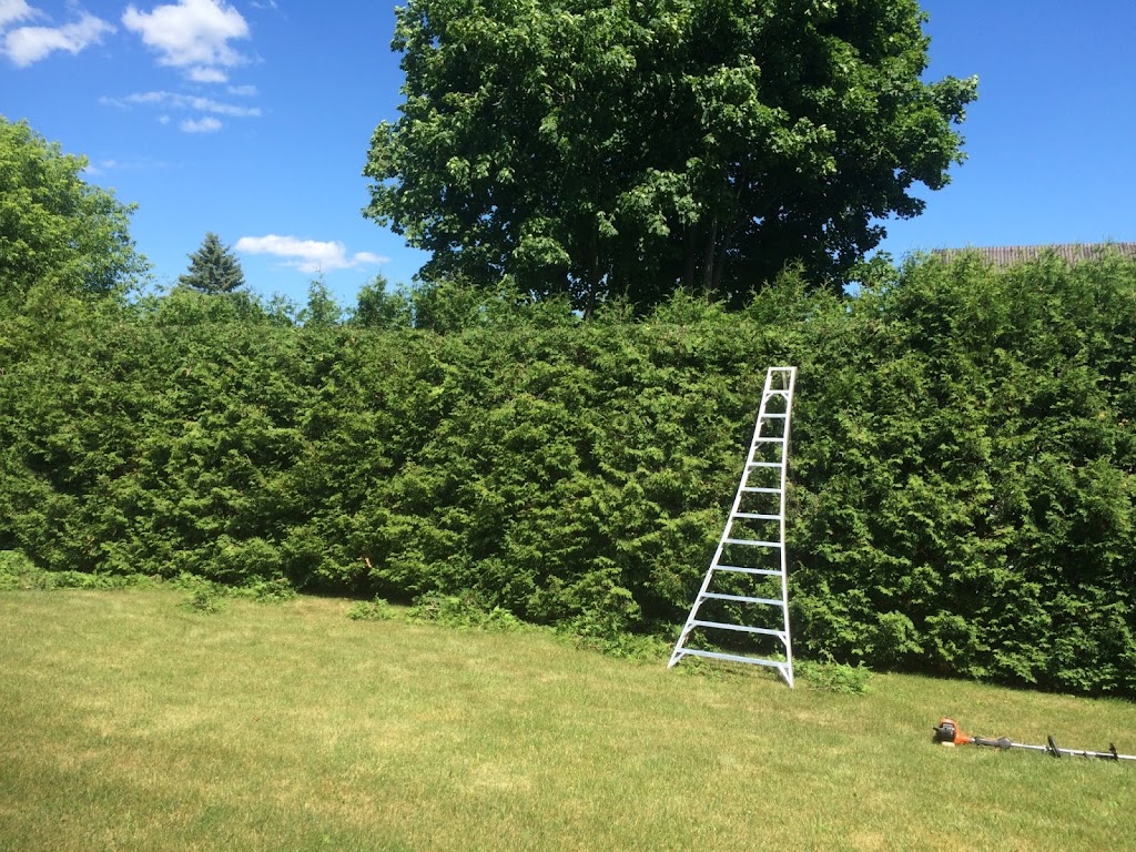 Taille de Haies Kilsdonk | 262 Bd Bourgeois, Napierville, QC J0J 1L0, Canada | Phone: (450) 357-3144