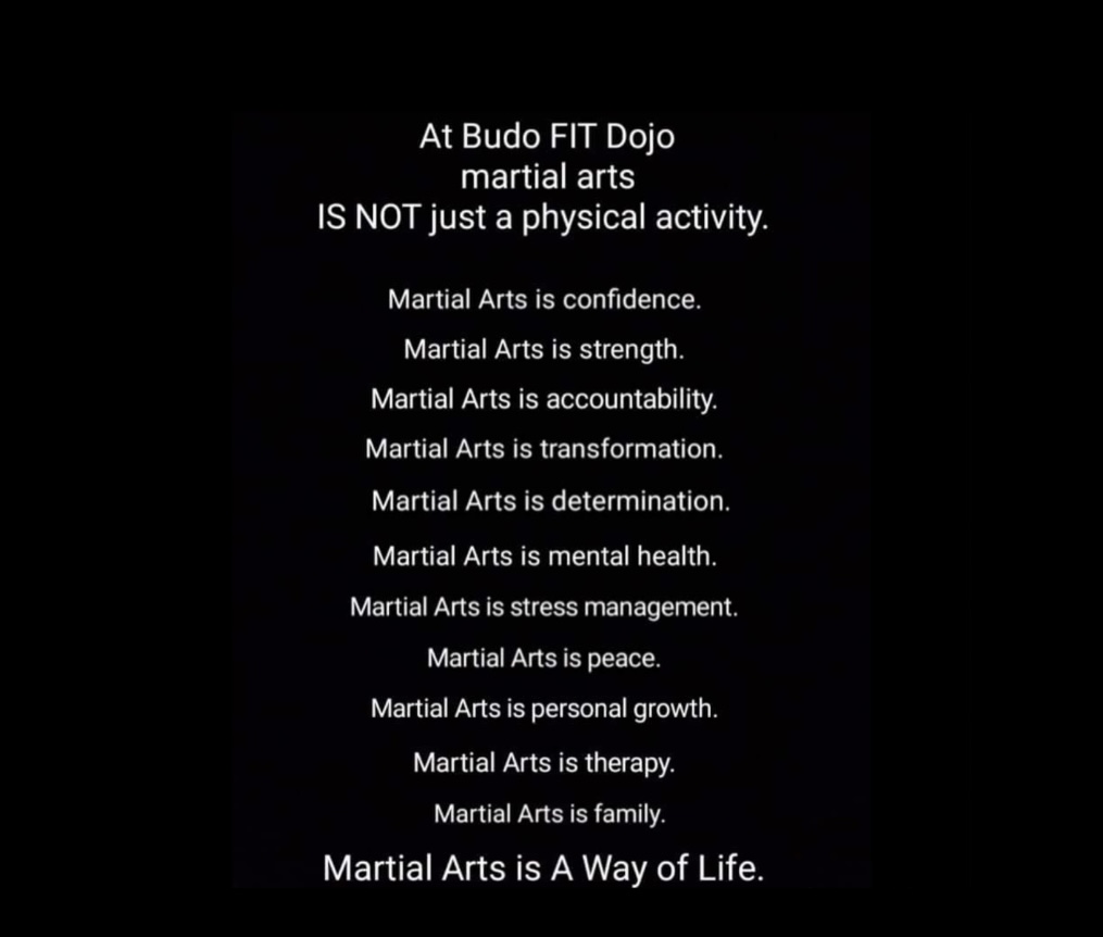 Budo FIT Dojo | 805 Santa Maria Blvd, Milton, ON L9T 2X5, Canada | Phone: (289) 434-4026