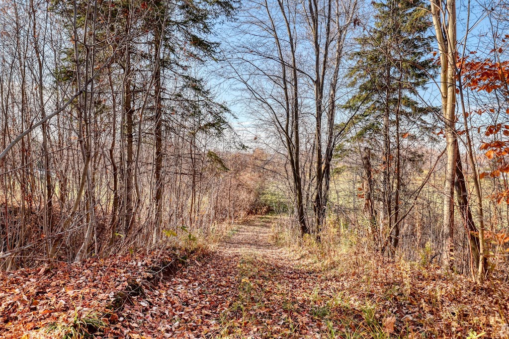 Ranch Eldorado inc | 11555 Boul Bécancour, Bécancour, QC G9H 2K1, Canada | Phone: (450) 803-0575