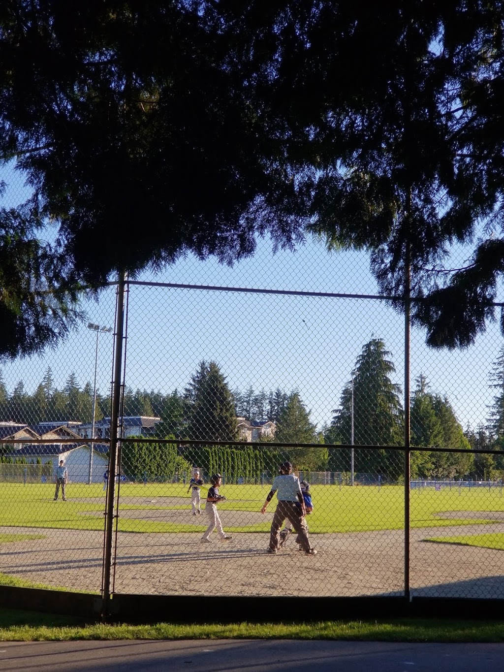 Pitt Meadows Skatepark | Pitt Meadows, BC V3Y 1J6, Canada | Phone: (236) 975-2825