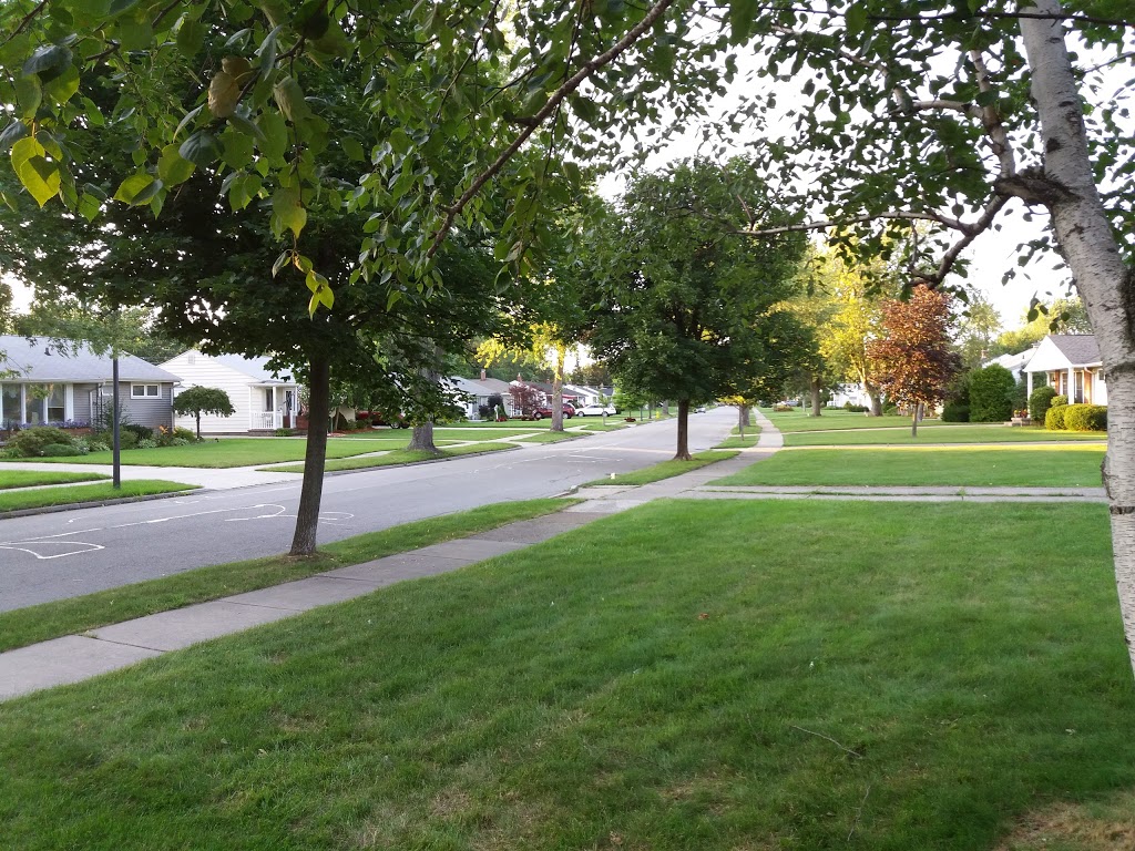 Central Amherst Little League | Buffalo, NY 14226, USA | Phone: (716) 465-5600