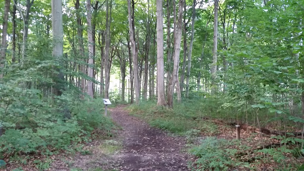 Sinclairs Bush Conservation Area | 10440 Sinclair Line, Blenheim, ON N0P 1A0, Canada | Phone: (519) 354-7310