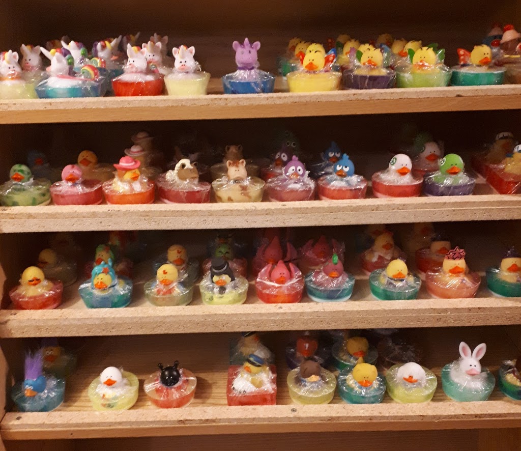 silly soap | 12617 203 St, Maple Ridge, BC V2X 4A1, Canada | Phone: (778) 235-5077