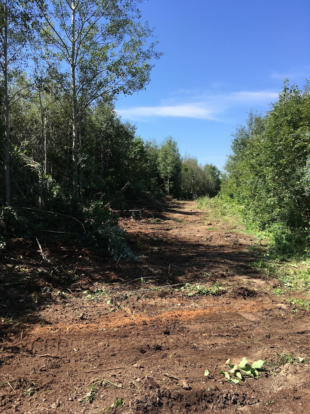 Huber Excavating & Septic Installation | 1323 Queen St N, New Dundee, ON N0B 2E0, Canada | Phone: (519) 465-2707
