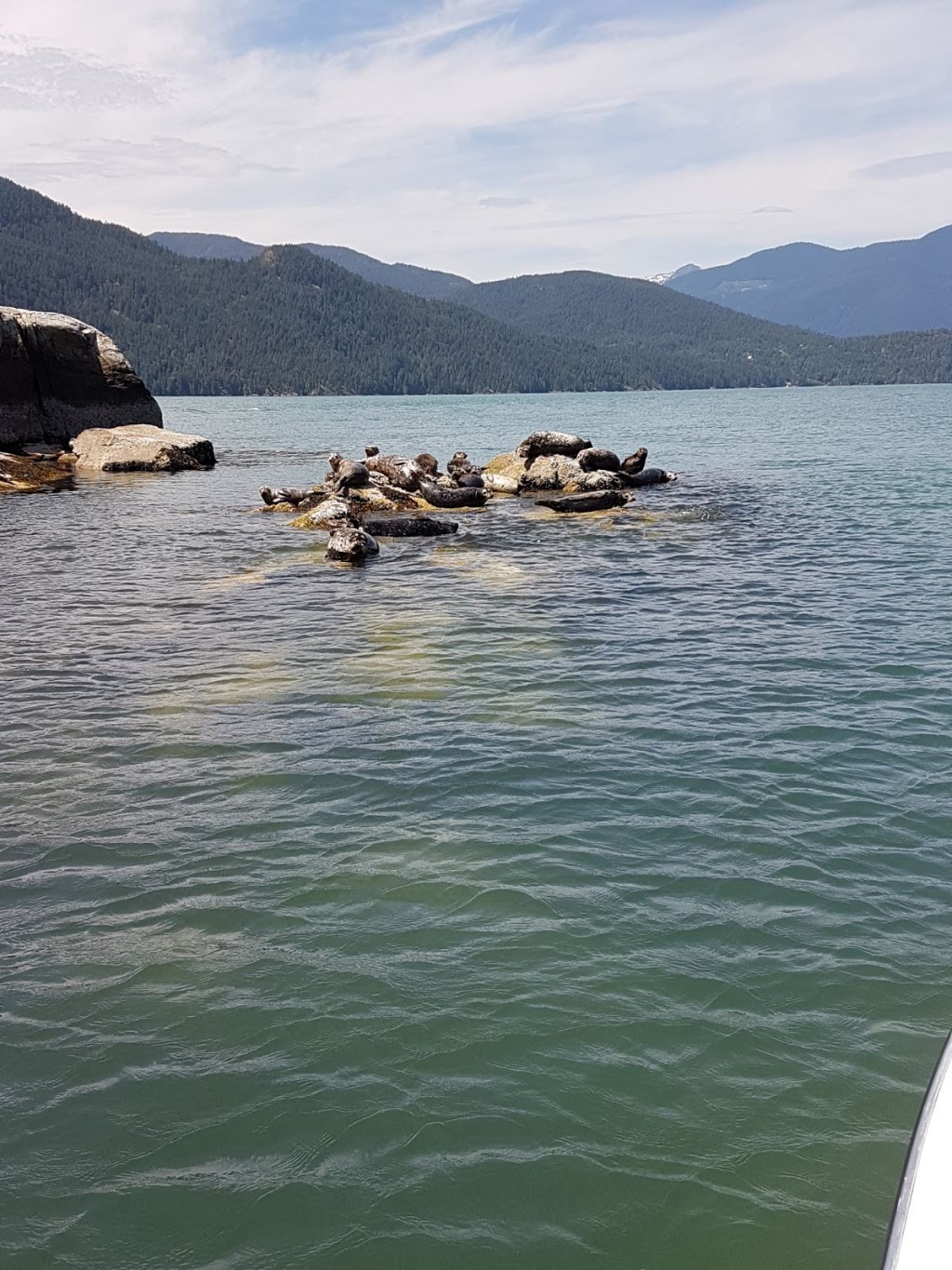 Squamish Harbour Marine Adventures | 37796 Galbraith Ave, Squamish, BC V8B 0K1, Canada