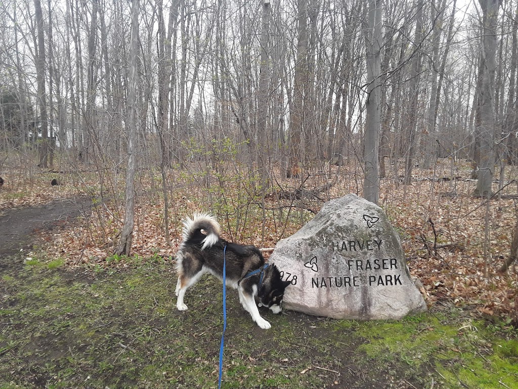 Harvey Fraser Nature Park | Cecelia St, Pembroke, ON K8A 7W9, Canada | Phone: (613) 735-6821