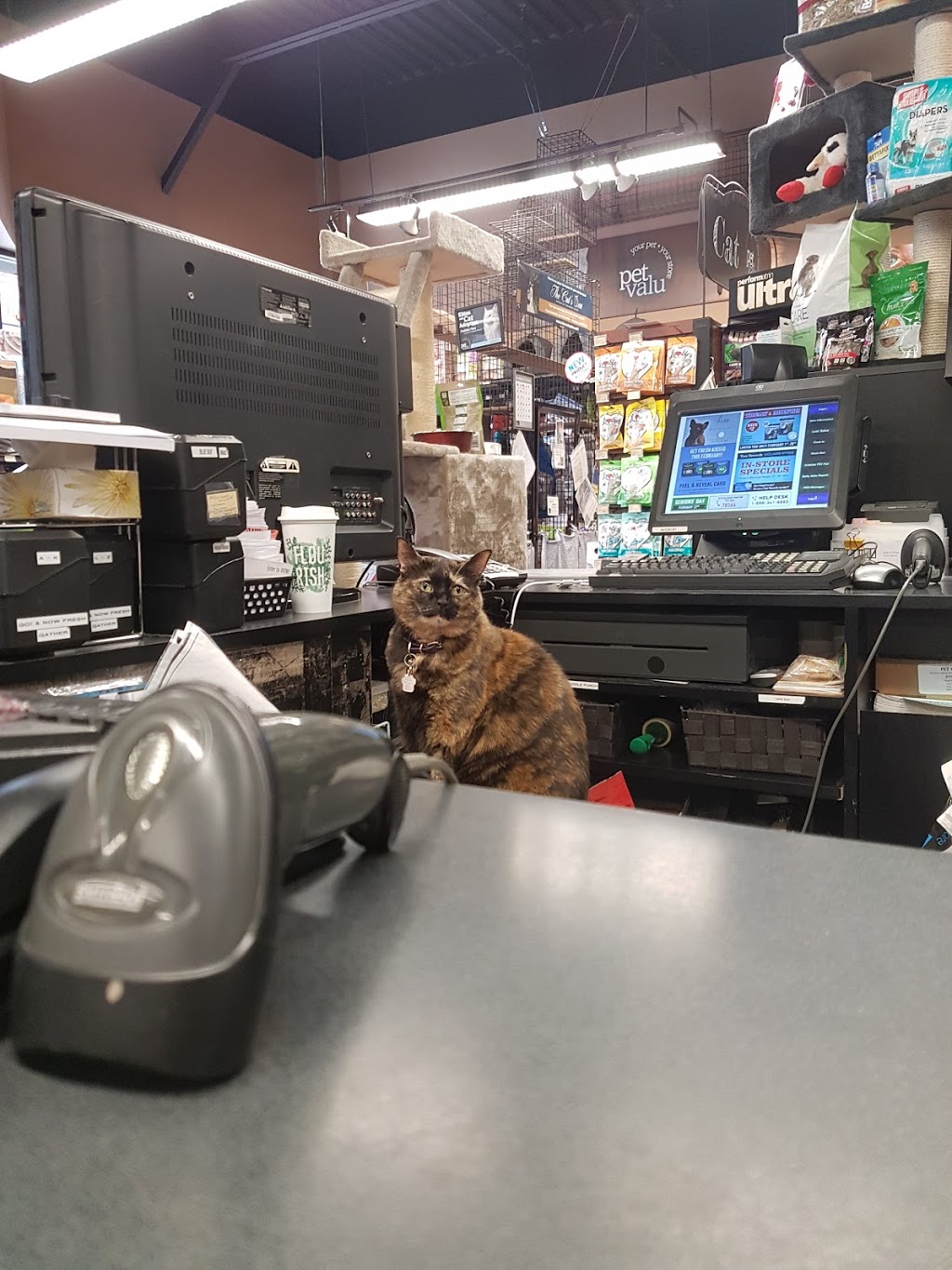 Pet Valu | 1176 King St W, Toronto, ON M6K 1E6, Canada | Phone: (416) 916-1199