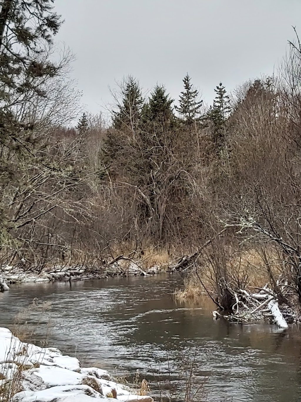 Bonshaw Hills Provincial Park | 29 Green Rd, Bonshaw, PE C0A 1C0, Canada | Phone: (902) 859-8790