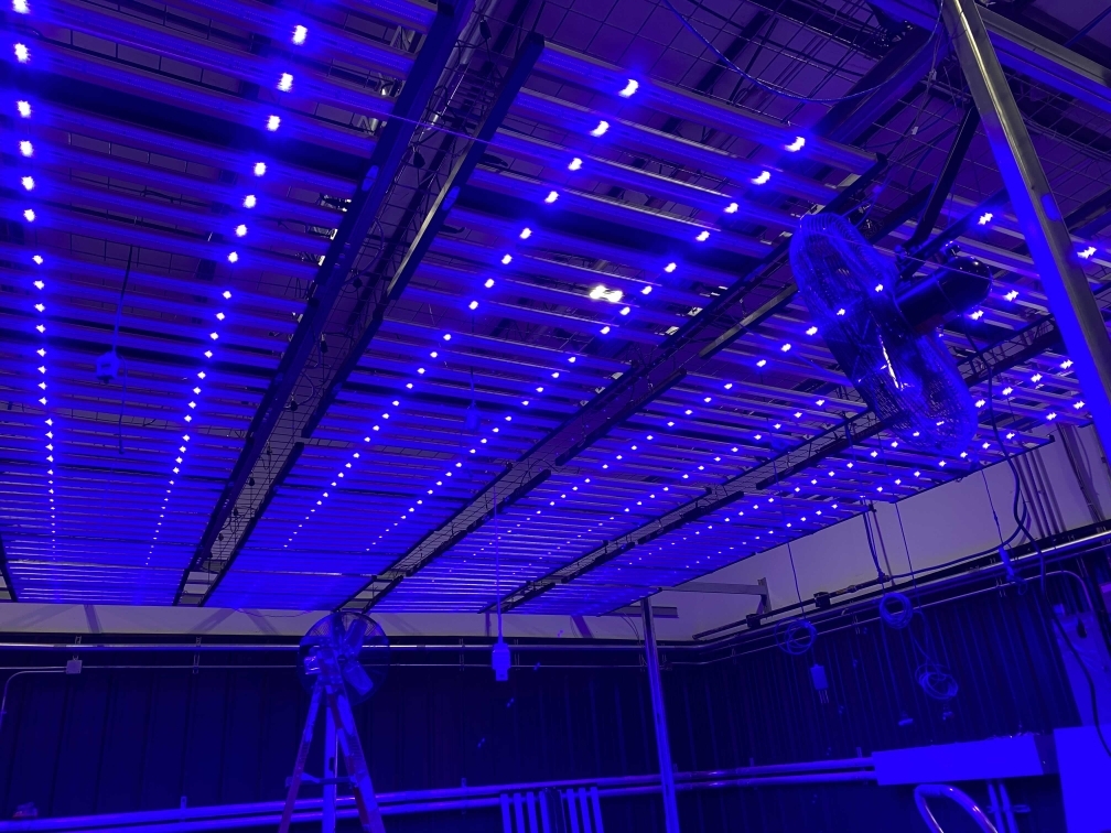 Optic LED Grow Lights | 10114 McDonald Park Rd #9A, North Saanich, BC V8L 5X8, Canada | Phone: (250) 793-5100