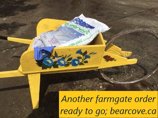 Bear Cove Resources, Storm-cast | 142 E Berlin Rd, Brooklyn, NS B0J 1H0, Canada | Phone: (902) 354-3687