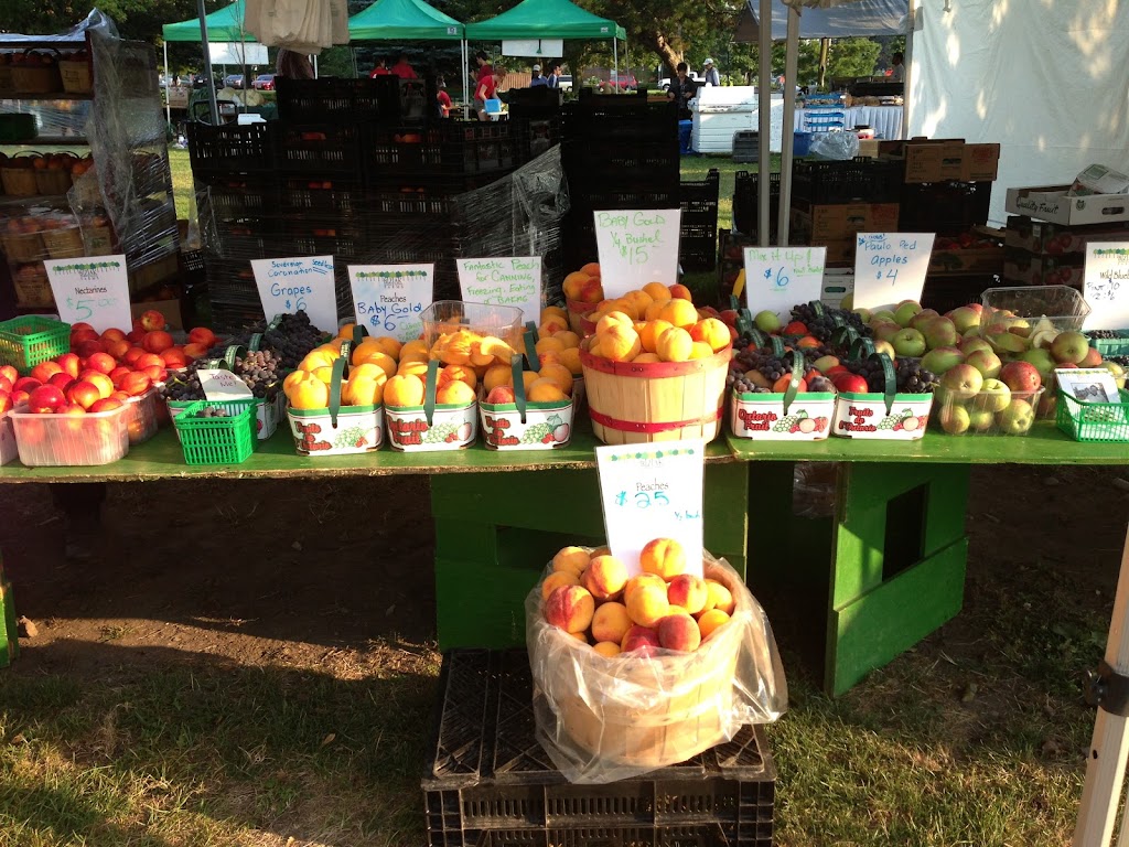 Bizjak Farms | 3320 First Ave, Vineland Station, ON L0R 2E0, Canada | Phone: (289) 213-3327