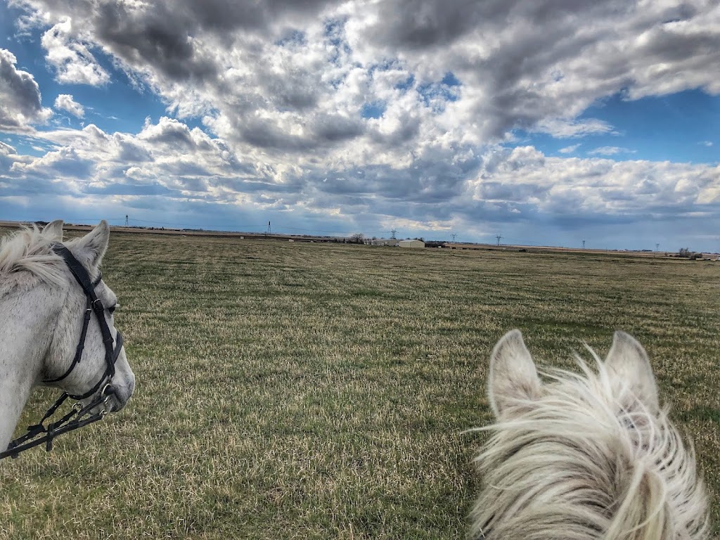 Bridleridge Equestrian Centre | 265110 Range Rd 273, Alberta T4A 2M1, Canada | Phone: (403) 630-1339