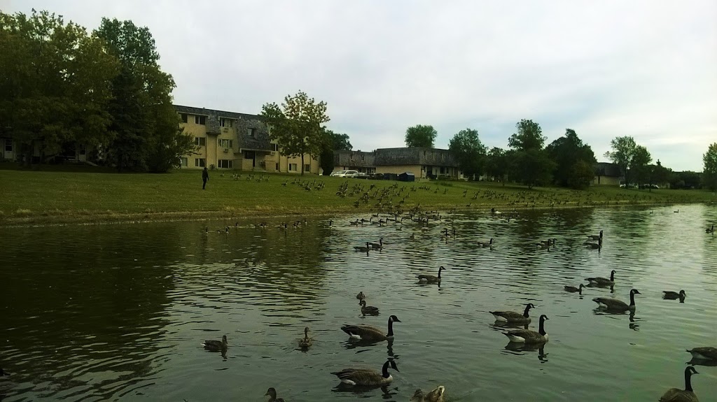 Baldry Creek Park | Fort Richmond, Winnipeg, MB R3T, Canada