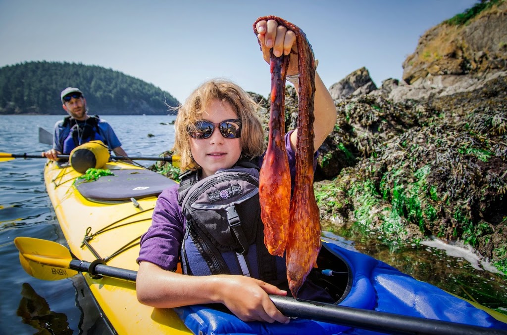 Anacortes Kayak Tours | 2009 Skyline Way, Anacortes, WA 98221, USA | Phone: (360) 588-1117