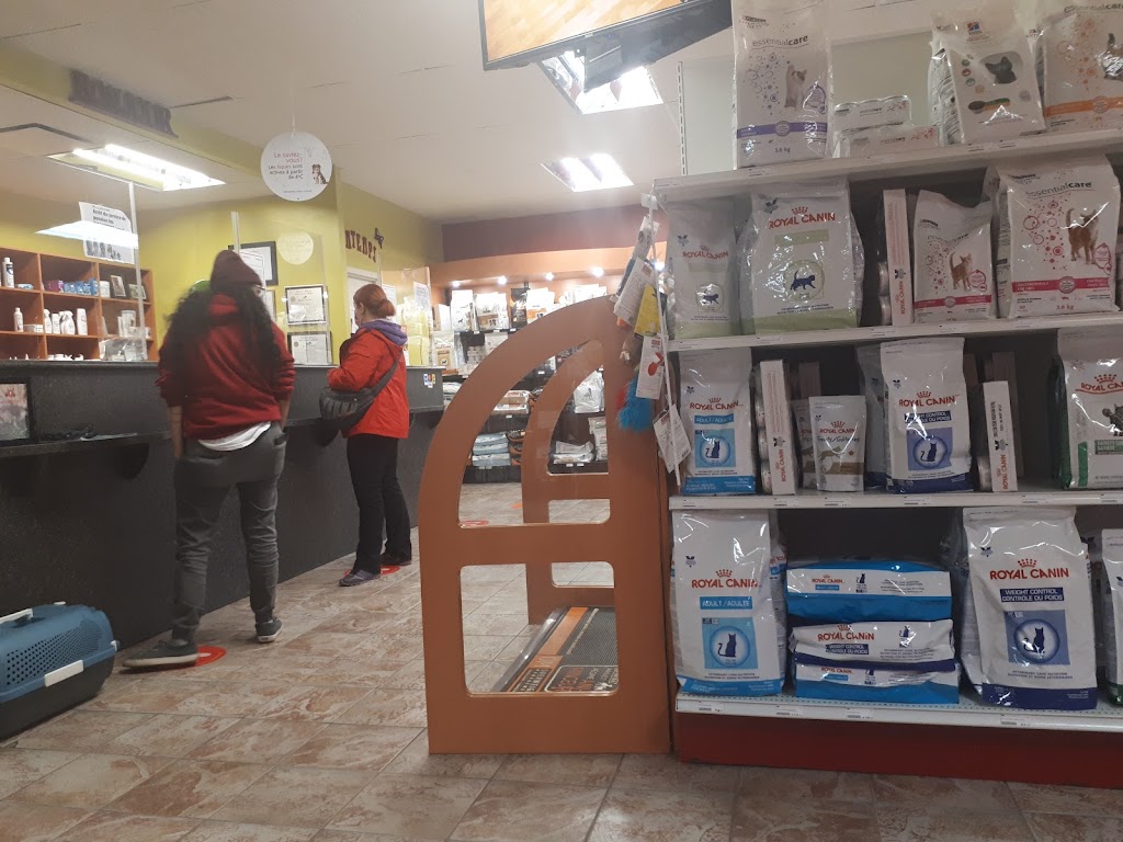 Hôpital Vétérinaire Anima-Plus Beauport | 2380 Bd Louis-XIV, Québec, QC G1C 5Y8, Canada | Phone: (418) 667-0077