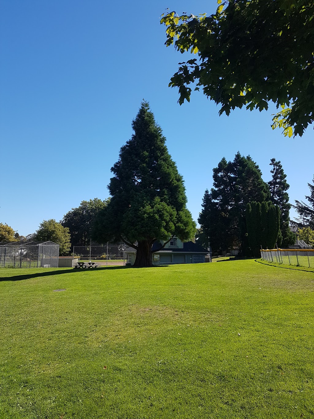 Firemans Park | 1703 Monterey Ave, Victoria, BC V8R 5V5, Canada