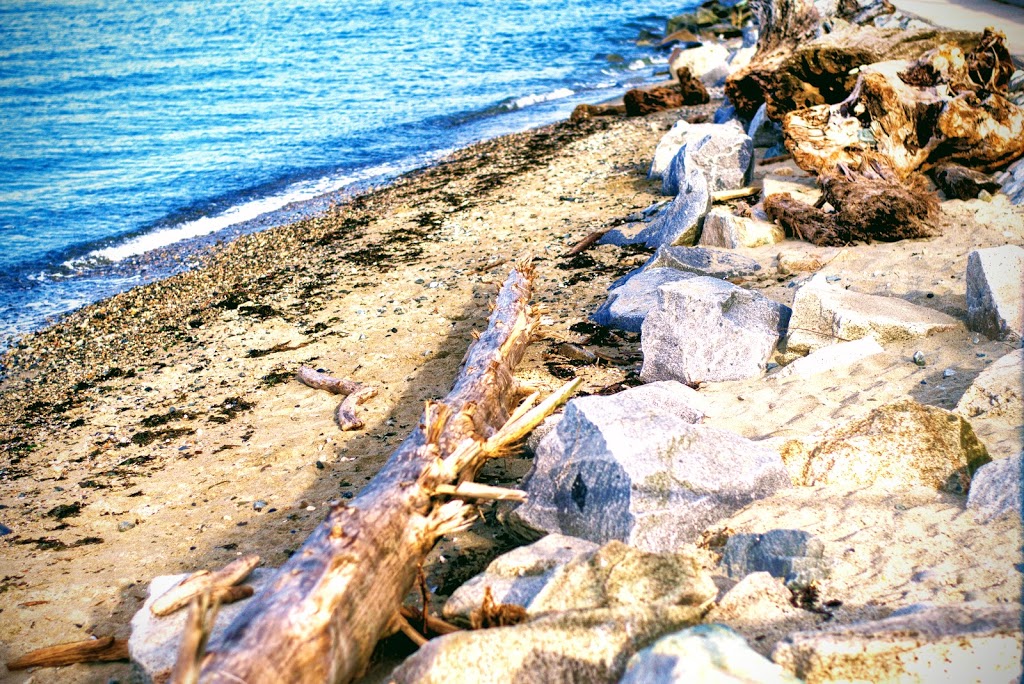 Davis Bay Beach | Sunshine Coast, BC V0N, Canada