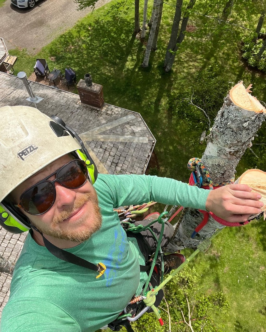 Island Arborist Tree Service | 99 Long Point Rd, North Rustico, PE C0A 1X0, Canada | Phone: (902) 218-4849