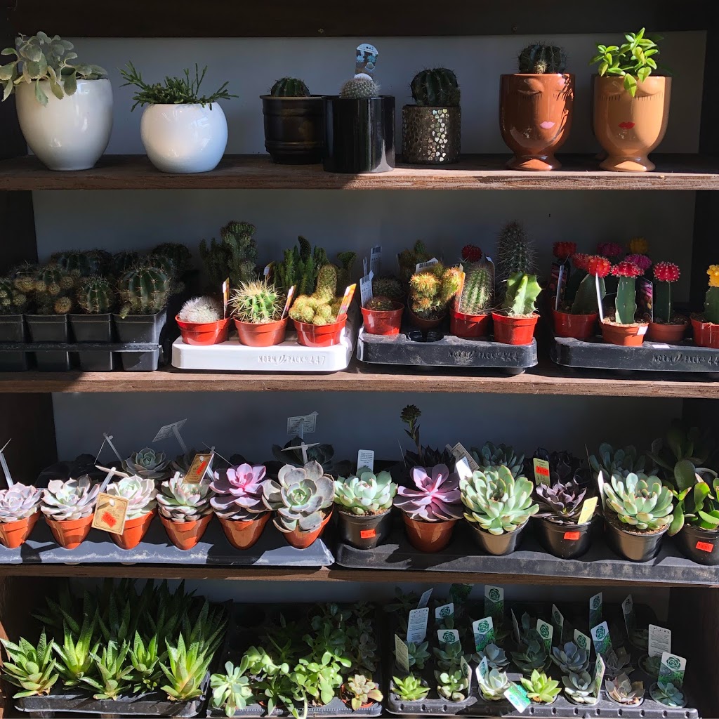 In Bloom Flower Shop | 163 Main St, Toronto, ON M4E 2V9, Canada | Phone: (416) 480-2222