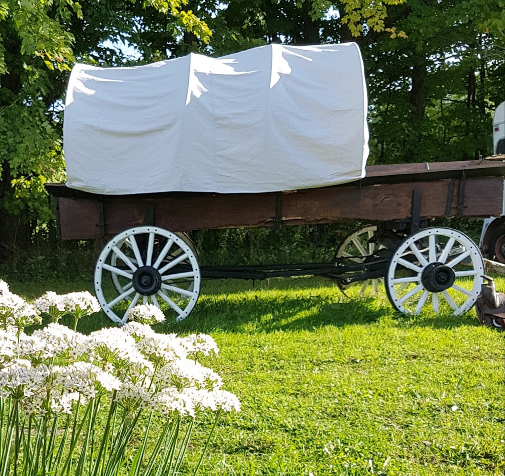 Equarius Weddings and Events | Monck Rd, Kawartha Lakes, ON L0K 1W0, Canada | Phone: (705) 330-2444