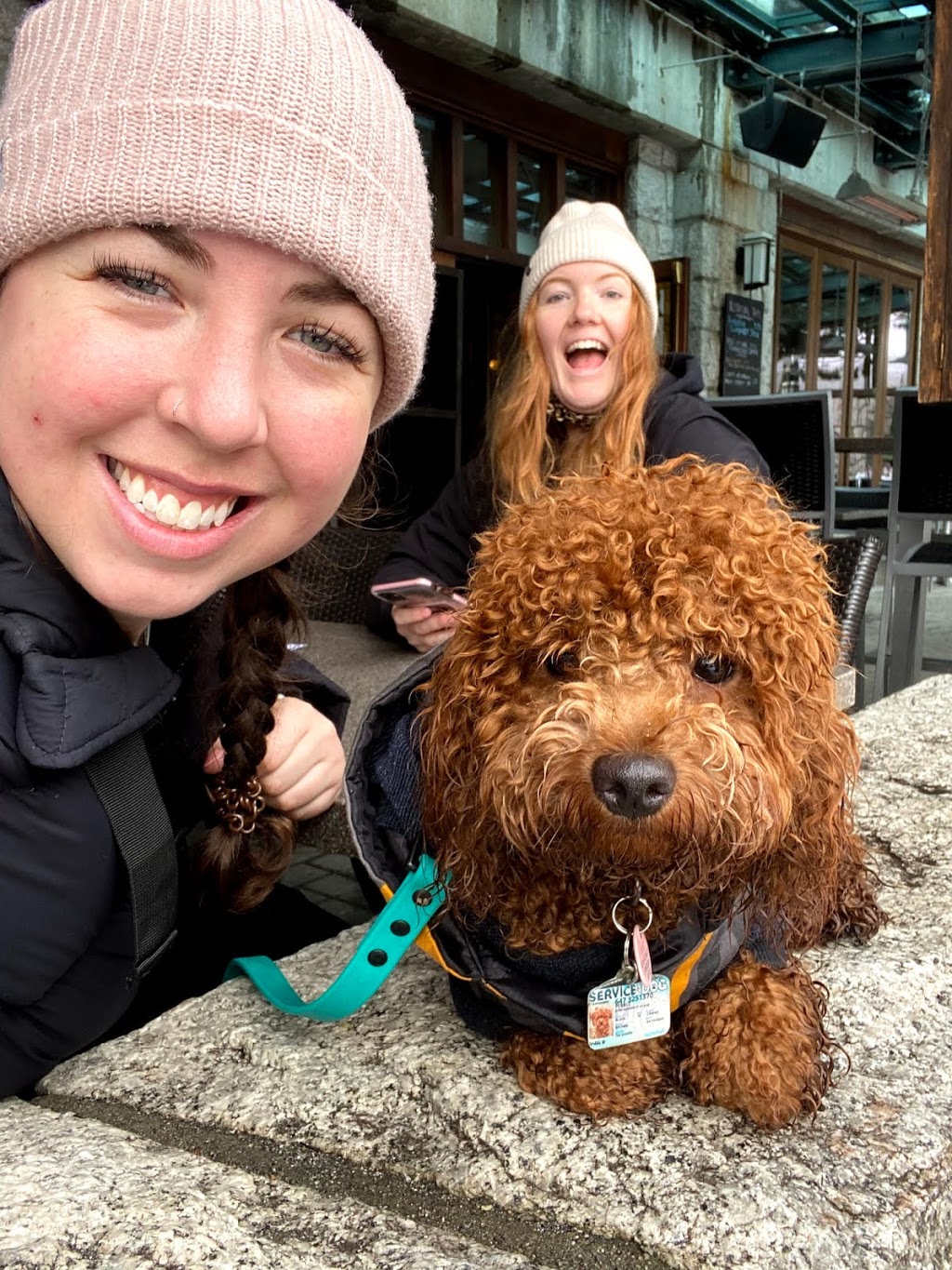 Doggy Tales Whistler | 3116 St Moritz Crescent, Whistler, BC V8E 0V8, Canada | Phone: (514) 772-6552