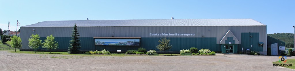 Centre Marius Sauvageau | 82 Rue de la Plaine, Chambord, QC G0W 1G0, Canada | Phone: (418) 342-6274