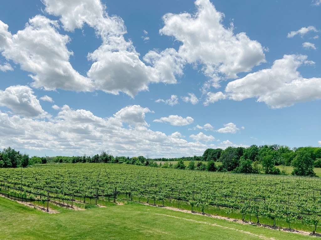 Crush On Niagara Wine Tours | Box 816, 4520 Ontario St, Beamsville, ON L0R 1B0, Canada | Phone: (905) 563-1759
