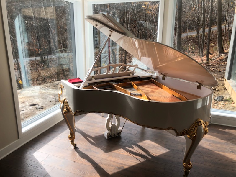 Déménagement Piano Transport Montréal | 2390 Rue Modigliani #102, Saint-Laurent, QC H4R 0J1, Canada | Phone: (438) 937-8986
