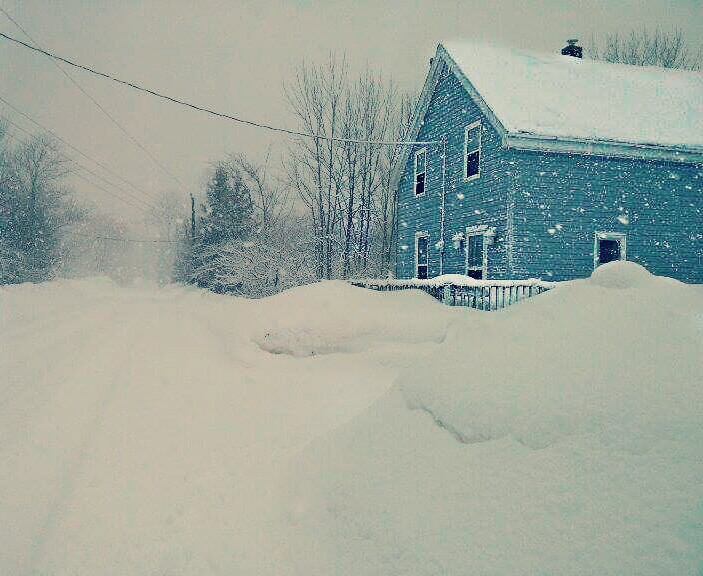 Maddys Place | 51 Block Wharf Rd, Summerville, NS B0N 2K0, Canada | Phone: (289) 689-9422