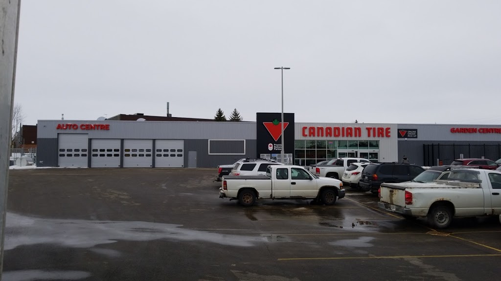 Canadian Tire | 101 Mt Forest Dr, Mount Forest, ON N0G 2L0, Canada | Phone: (519) 323-1080