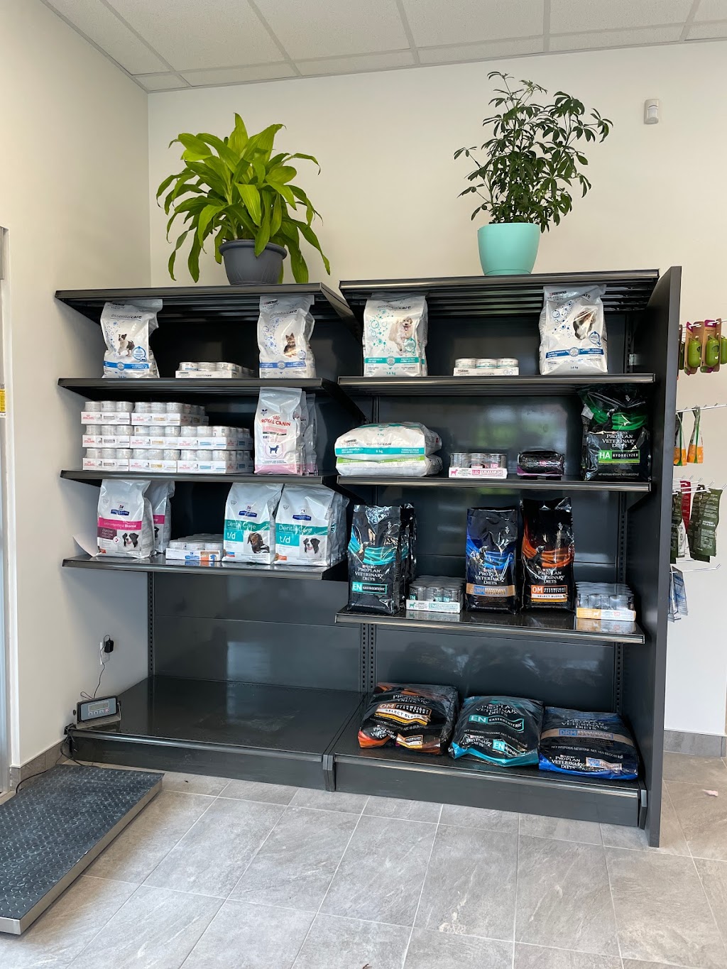 Bedford Parks Animal Hospital | 35 Bloom Ln Unit 100, Bedford, NS B4B 2E6, Canada | Phone: (902) 445-4551