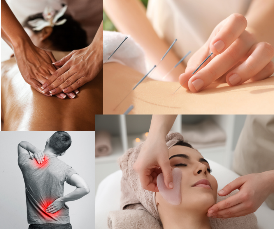 Robyn Guidon, Registered Acupuncture (R.Ac) | 8150 Arthur St, Crofton, BC V0R 1R0, Canada | Phone: (250) 701-5687