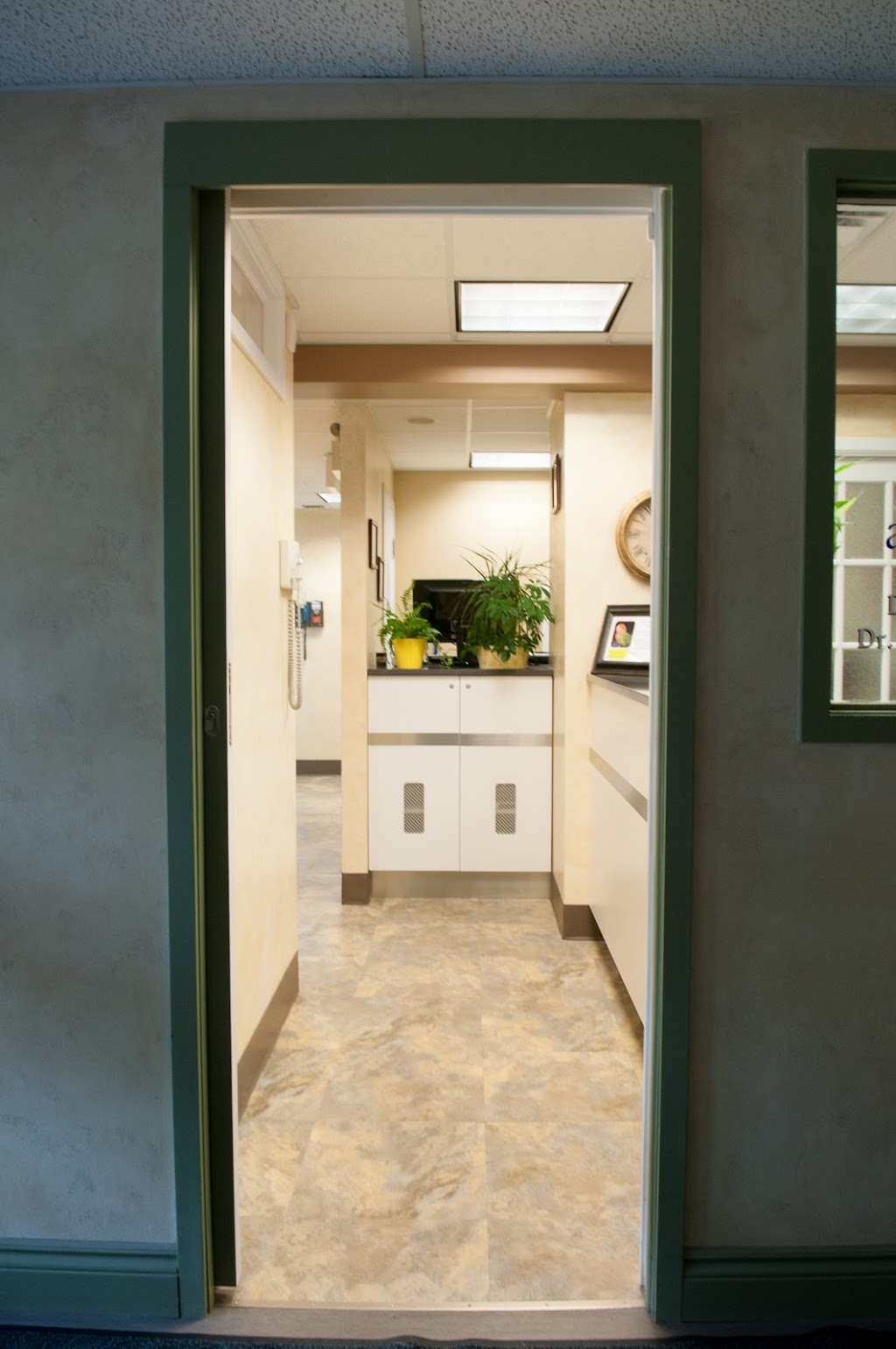 Aldente Dentistry | 1493 Centre Rd, Carlisle, ON L0R 1H2, Canada | Phone: (905) 689-0733