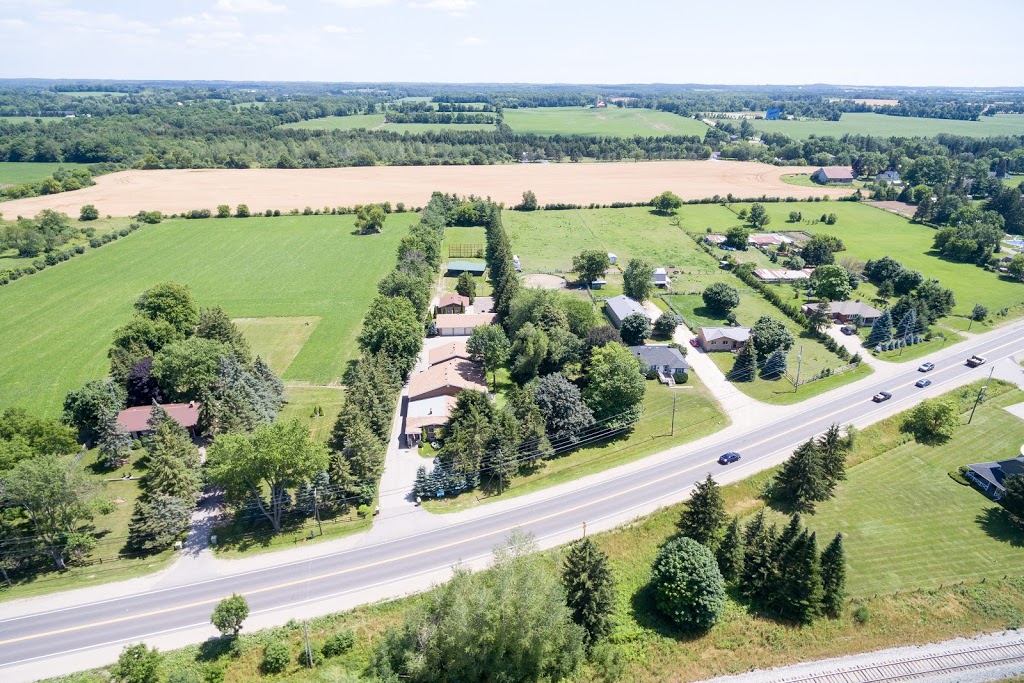 Sheena Lamont - RE/MAX Real Estate Centre Inc. | 1499 Gordon St, Guelph, ON N1L 1C9, Canada | Phone: (519) 831-4772